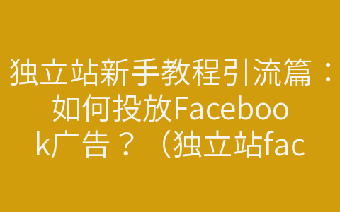 獨(dú)立站新手教程引流篇：如何投放Facebook廣告？（獨(dú)立站facebook廣告推廣）