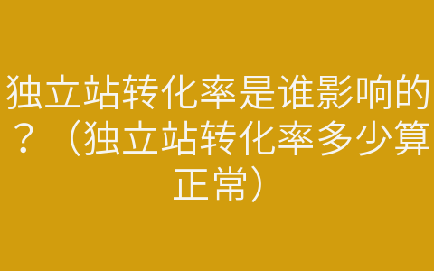 獨(dú)立站轉(zhuǎn)化率是誰影響的？（獨(dú)立站轉(zhuǎn)化率多少算正常）